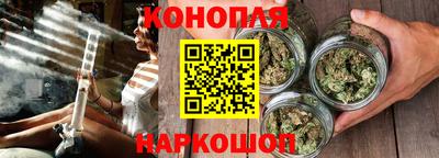 сатива Чебоксары