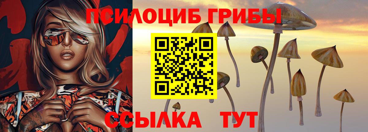 Назарово  Галлюциногенные грибы Cubensis  Вход с VPN 